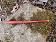 {{brizy_dc_image_alt entityId=