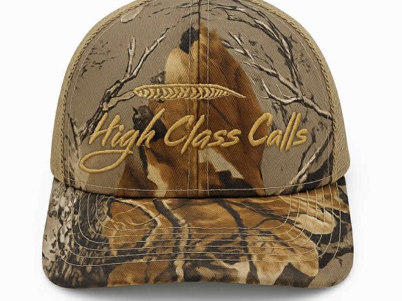 {{brizy_dc_image_alt entityId=